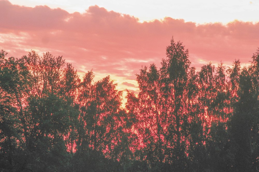 Закат на Муринском ручье