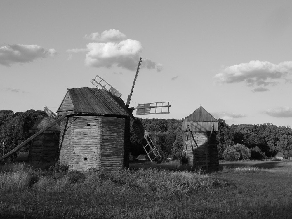 Photograph by Леонид Бойко