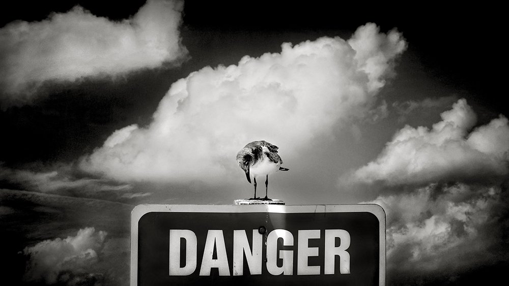 I think I'm in danger here!