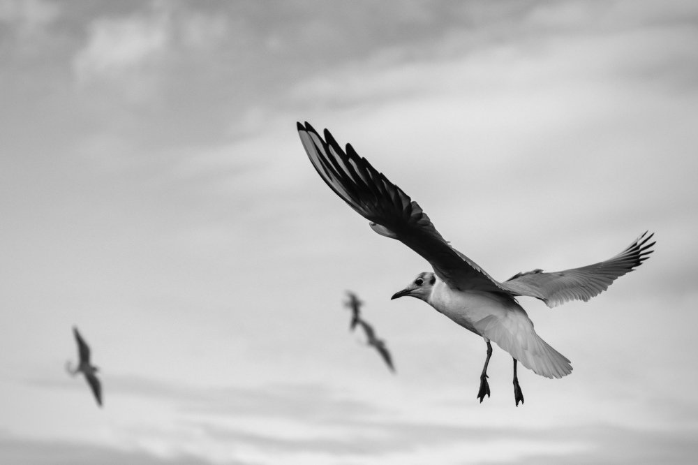 Фотография автора Мария Сурмачева