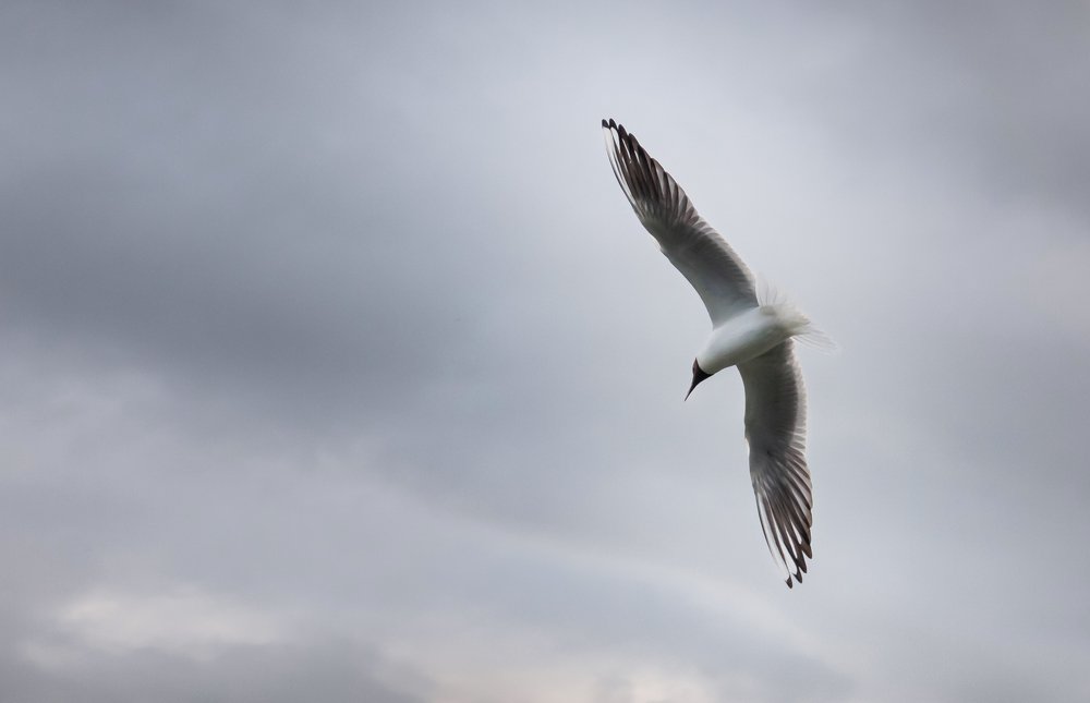 Photograph by Юлия