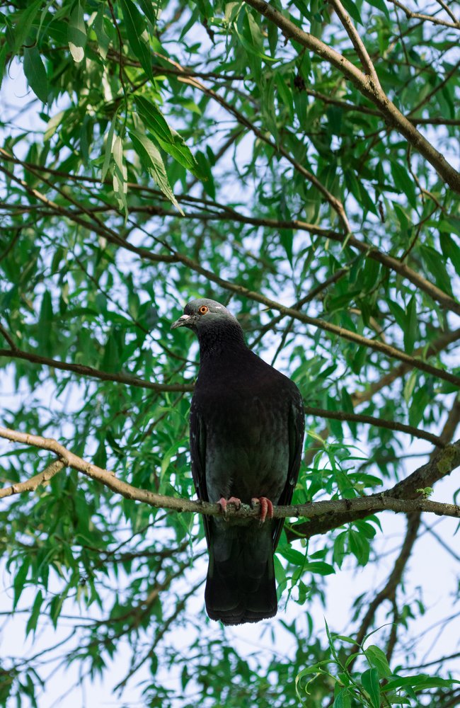 Photograph by Юлия