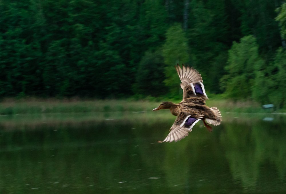 Photograph by Юлия