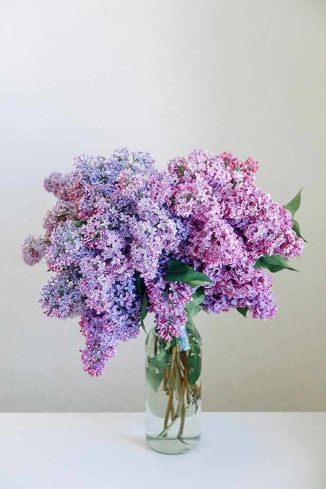 Photograph by Павел Возмищев