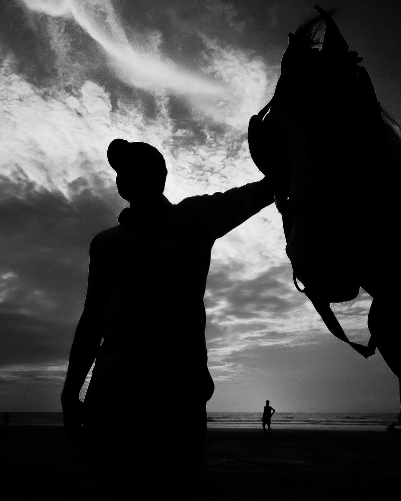 A great horse might help you win