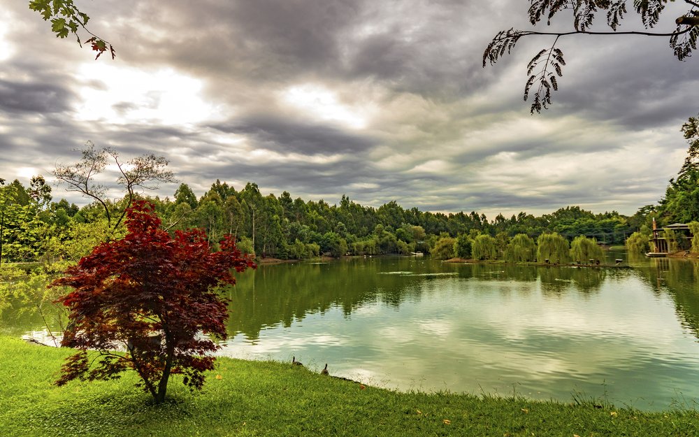 Photograph by Alex Kalpus