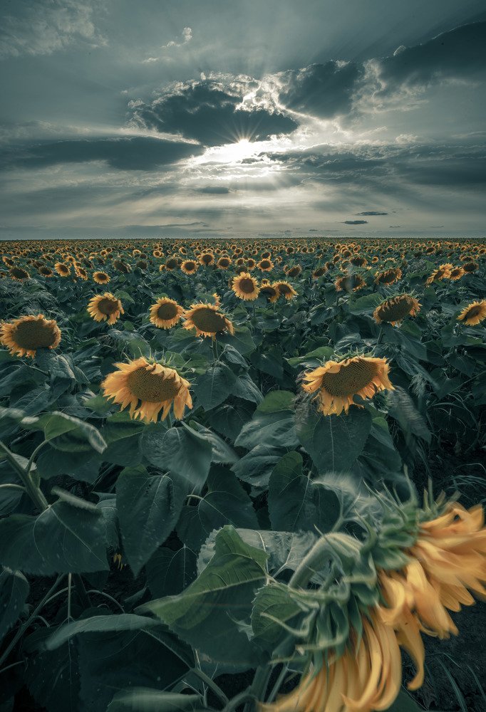 Фотография автора Konstantin Vladov