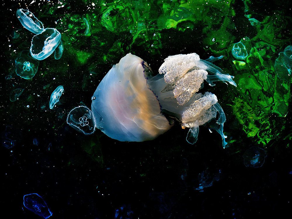 Photograph by Bekir Yesiltas