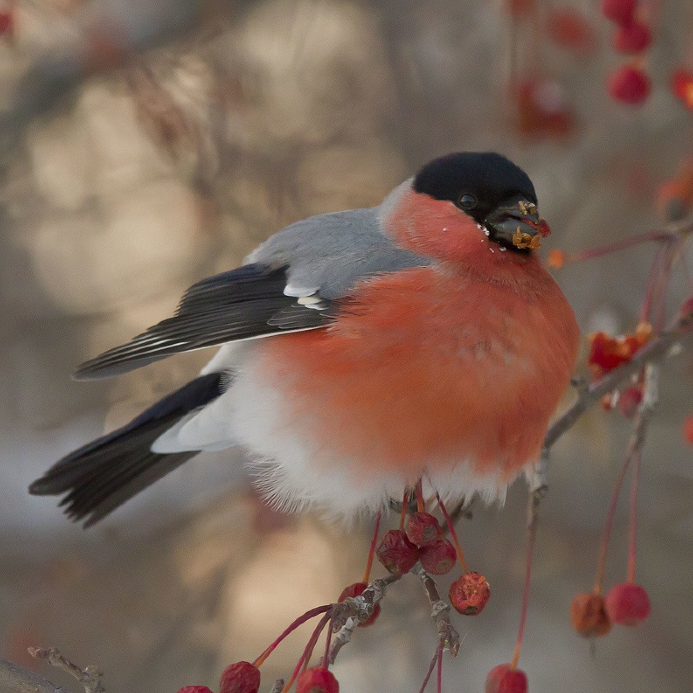 Photograph by Максим Фролов