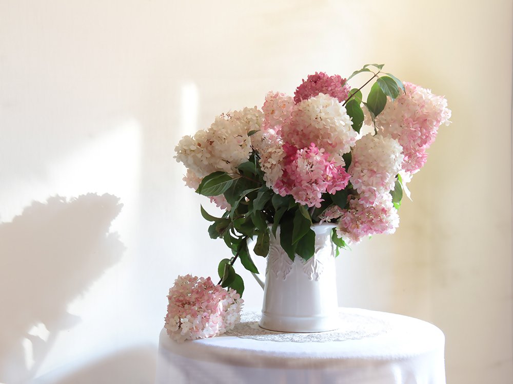 Фотография автора Ганина Галина