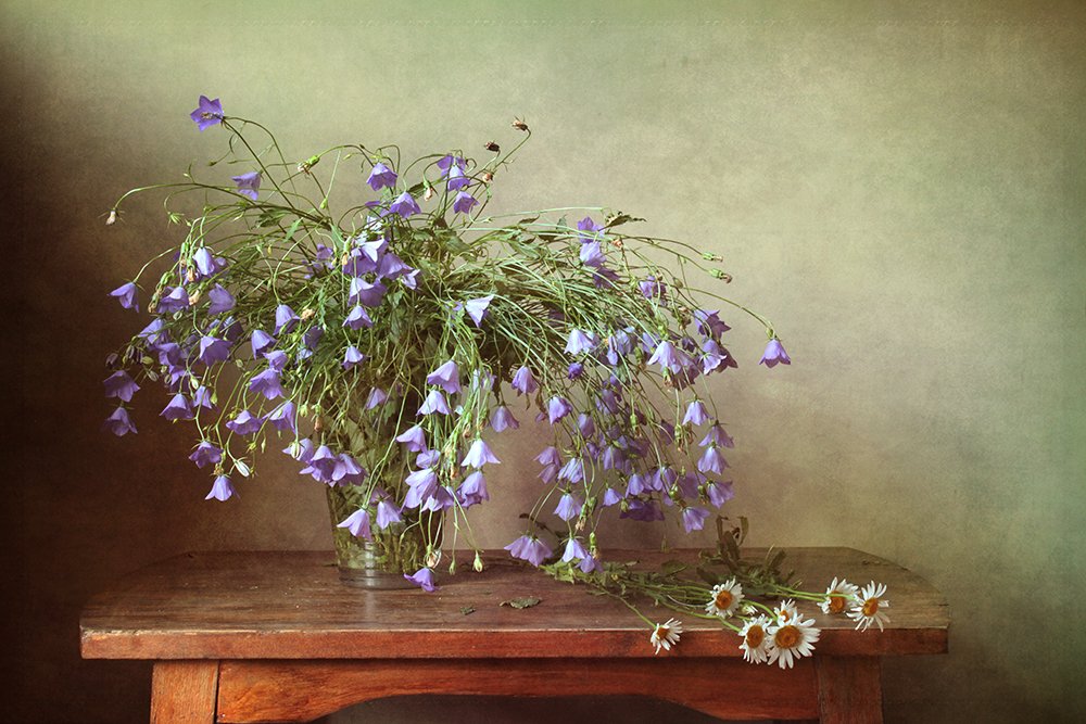 Фотография автора Ганина Галина