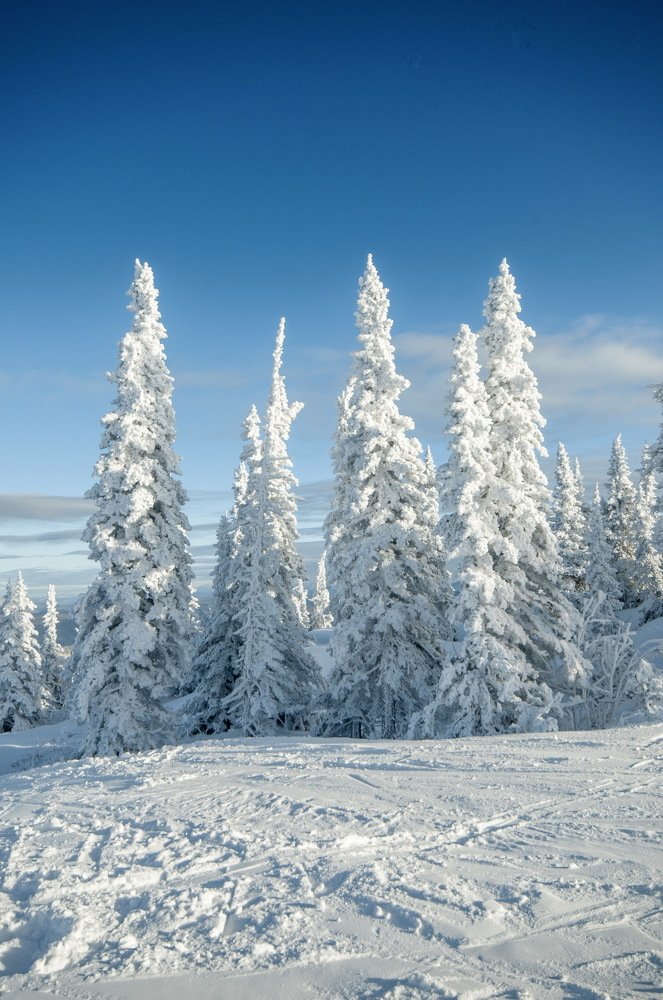 Photograph by Сергей Балухта