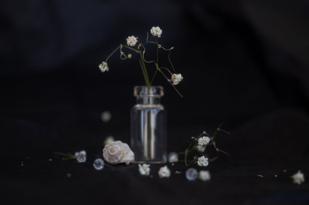 Фотография автора Дарина