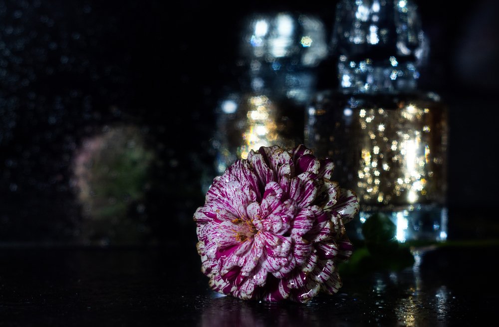 Фотография автора Дарина