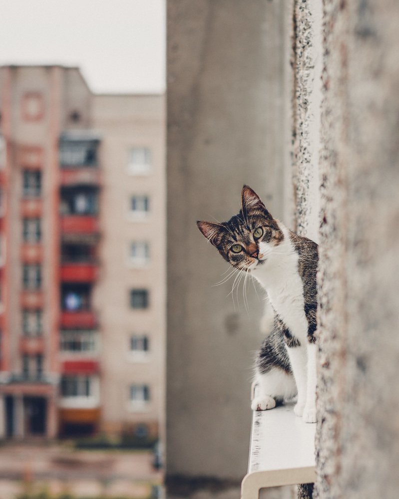 Photograph by Антон Синица