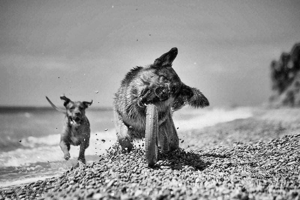 Photograph by Ирина Корх