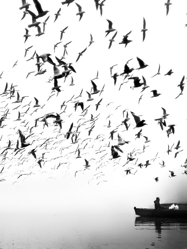 Photograph by MANISH KUMAR