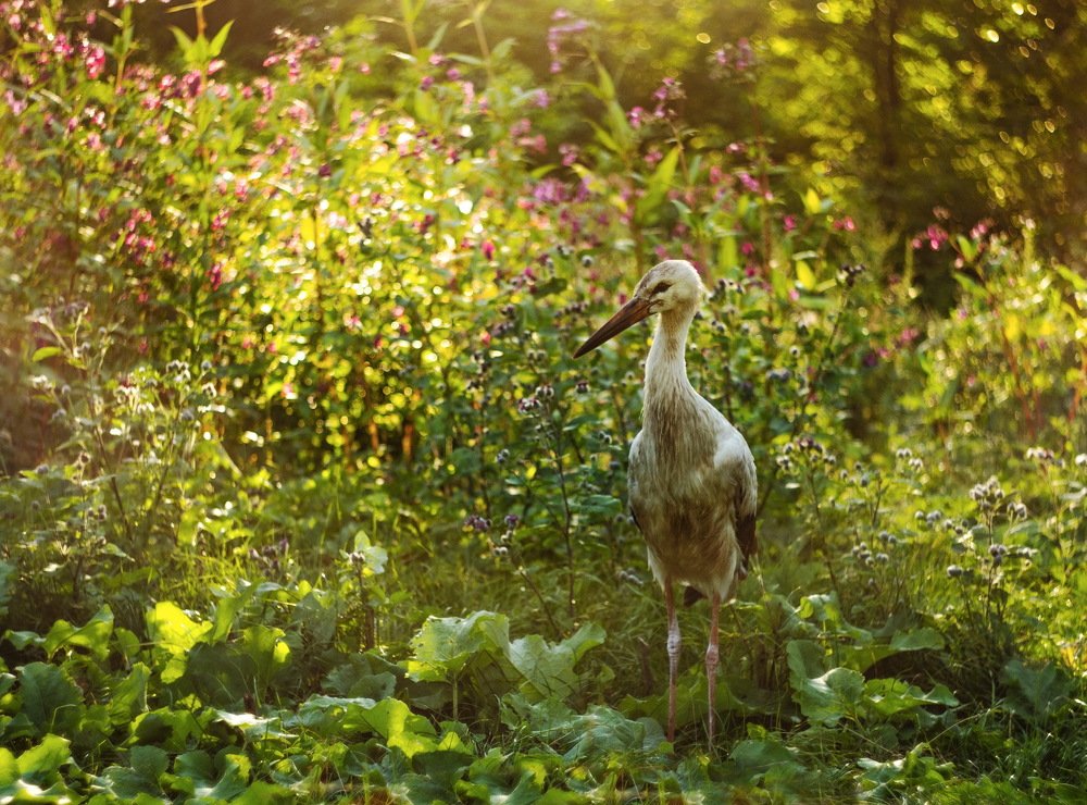 Photograph by Мария Кузьмина