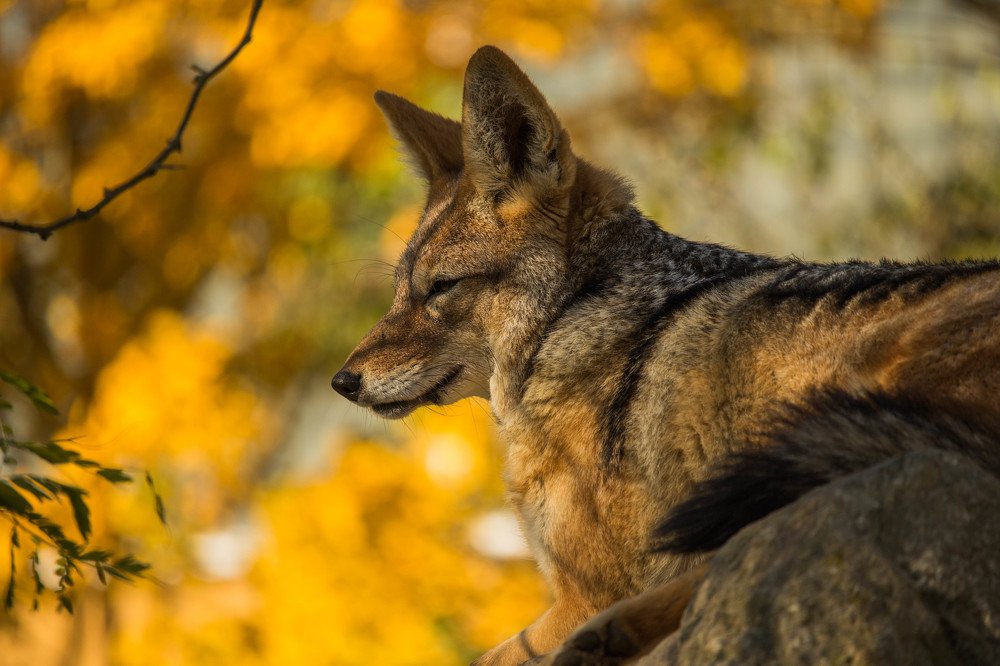 Photograph by Radoslav Strestik