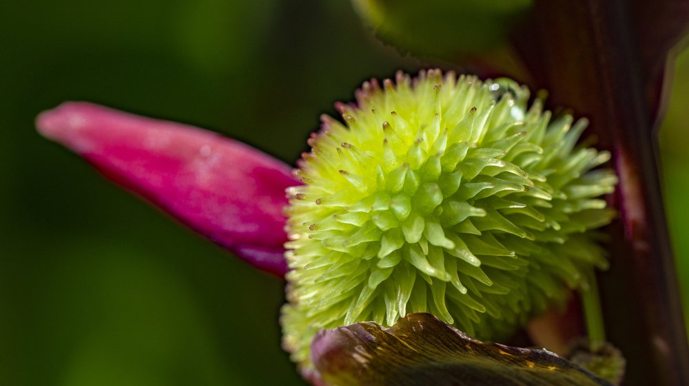 Photograph by Sveto Mamlic