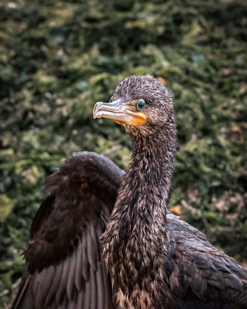 Photograph by Вадим Тихонов