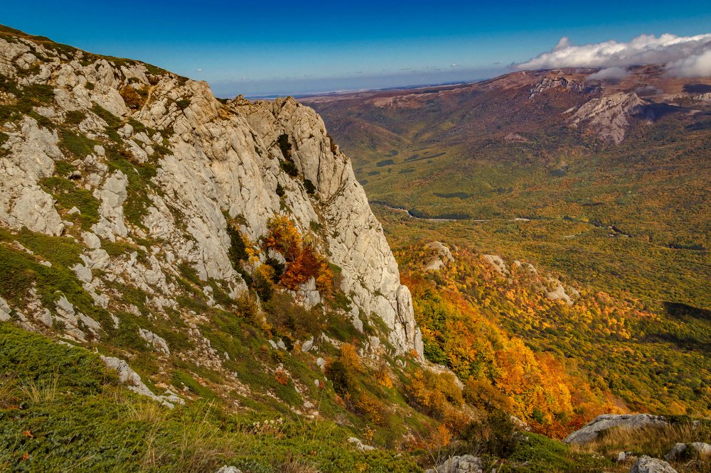 На ковре из желтых листьев...