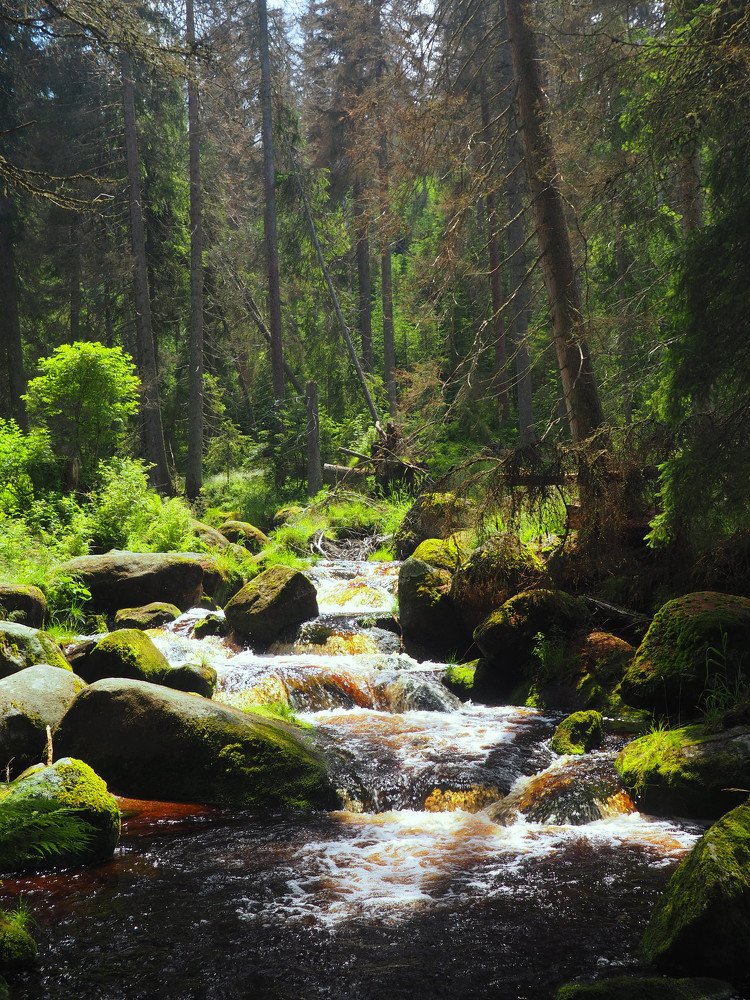 Photograph by Petr Kočica