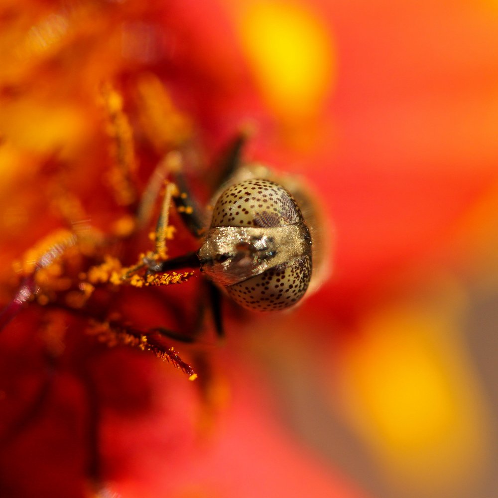 Photograph by Екатерина Топорова