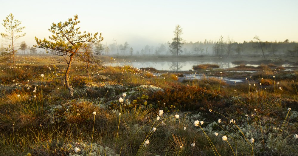 Photograph by Игнат Горелов
