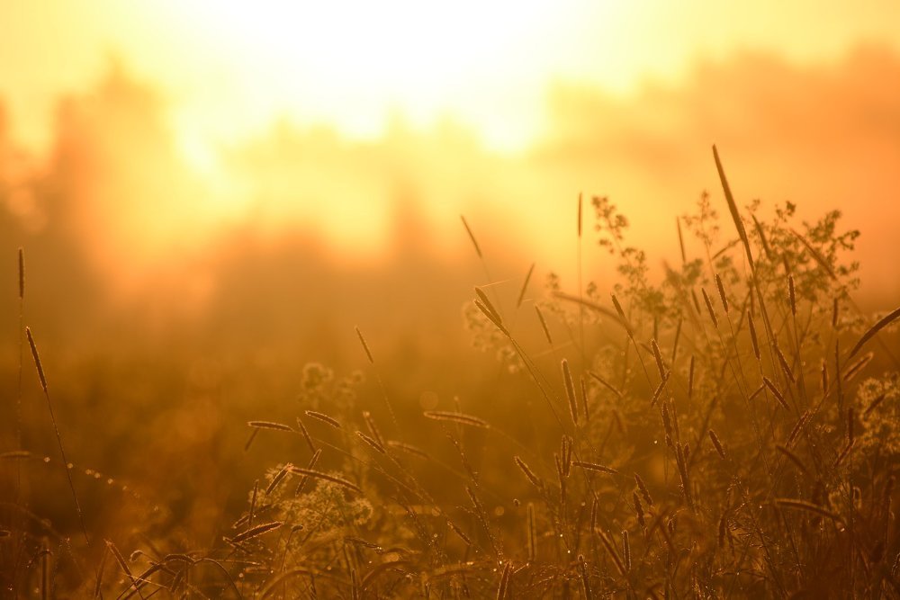 Photograph by Ilze Onzule