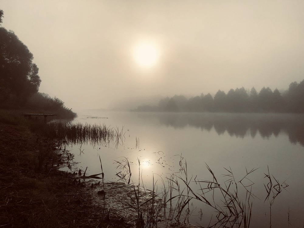 Фотография автора Наталья Васько -Черданцева