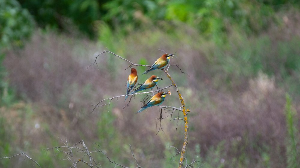 Фотография автора Денис Гаврицков