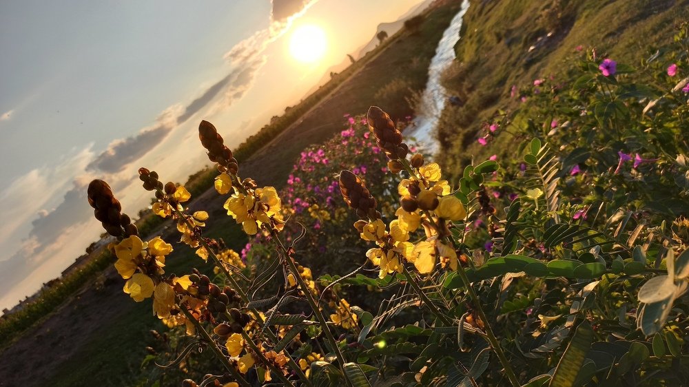 Photograph by Gerardo Jimenez