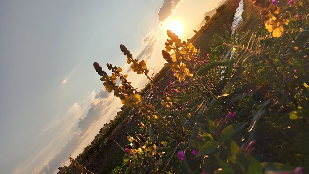 Photograph by Gerardo Jimenez