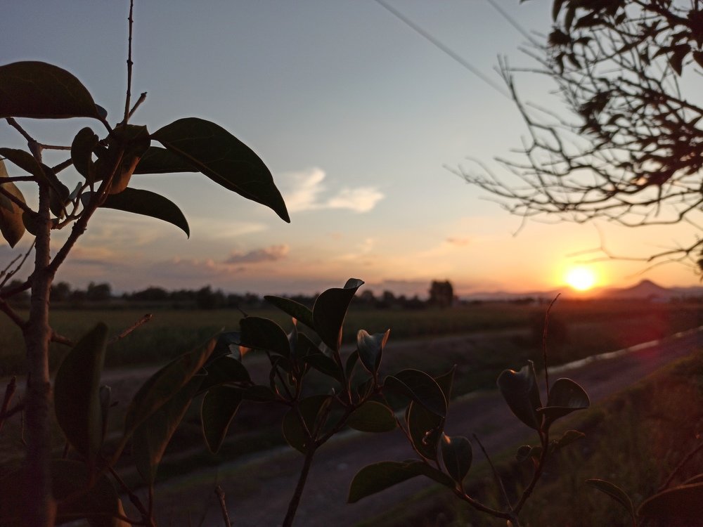 Photograph by Gerardo Jimenez