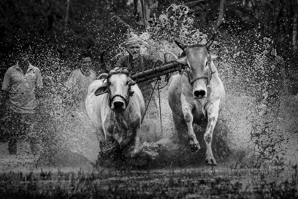 Photograph by Sudipta Das