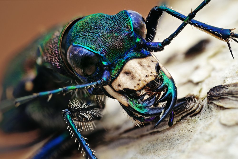 Photograph by Роман Фадеев