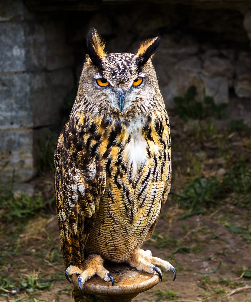 Photograph by Алексей Герасимов