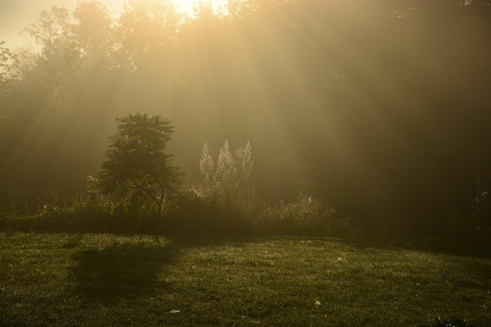 Photograph by Ilze Onzule