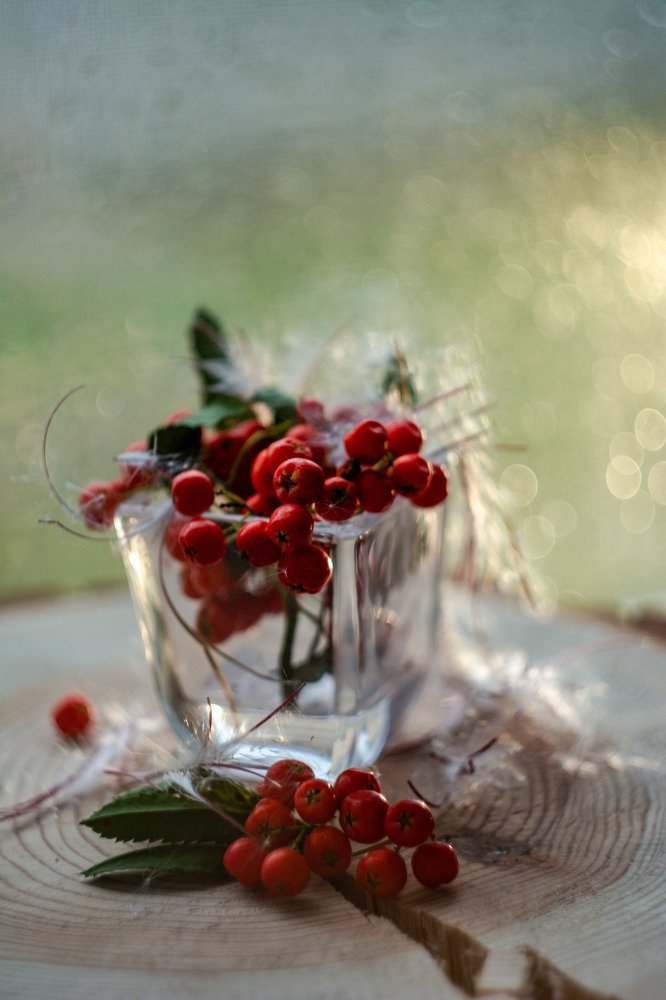 Photograph by Татьяна Конопацкая