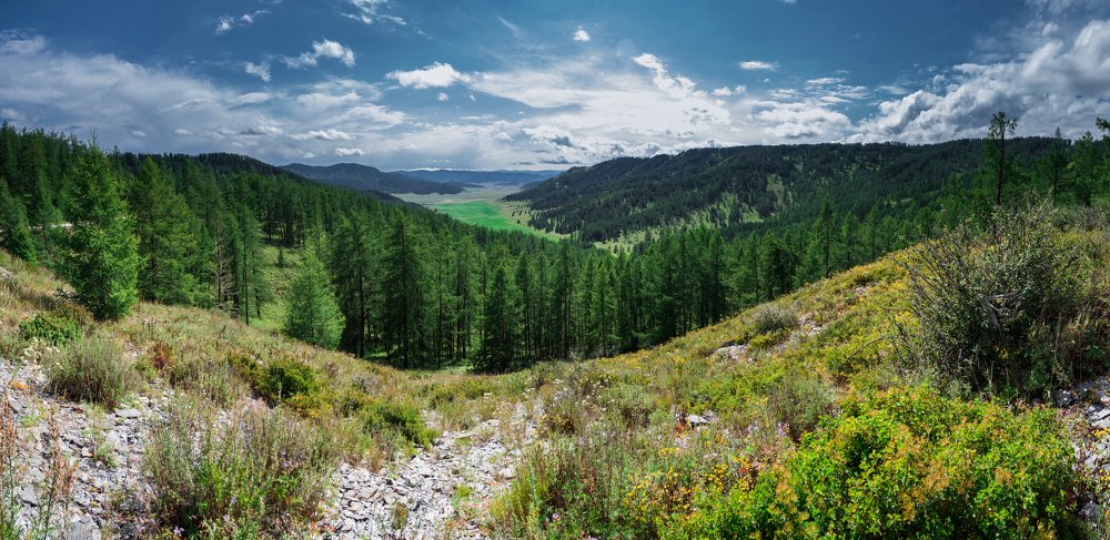 Усть-Канский район