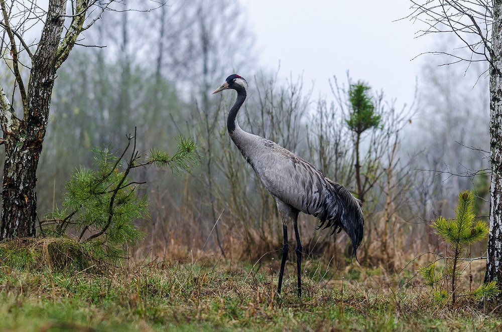Photograph by Olena Gryshyna