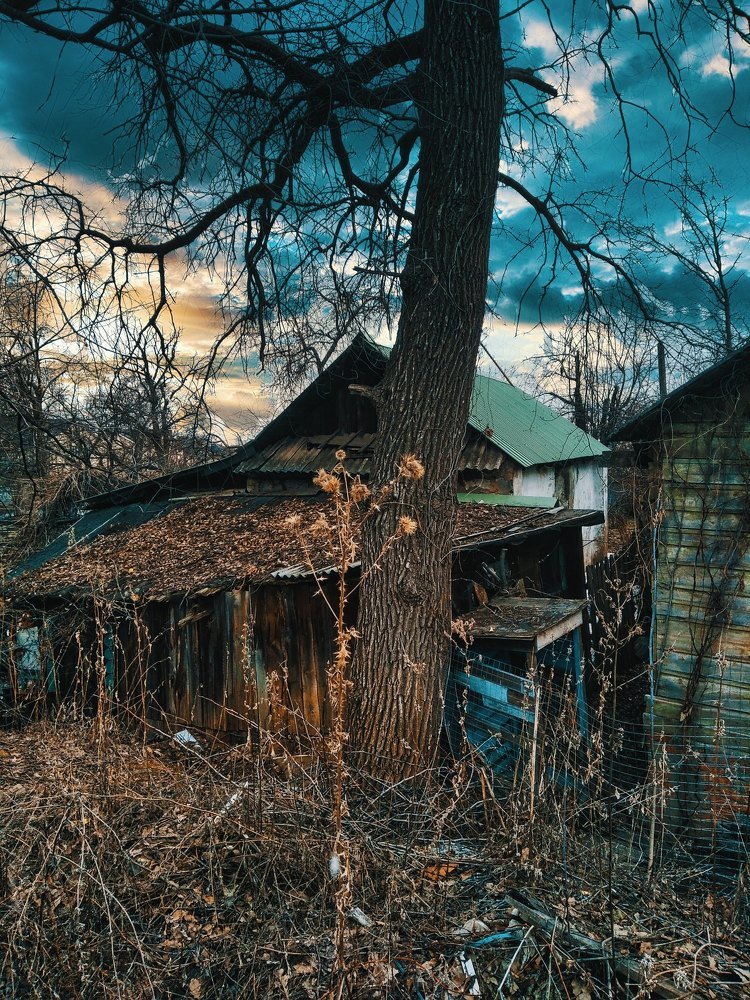 Photograph by Дмитрий Марков