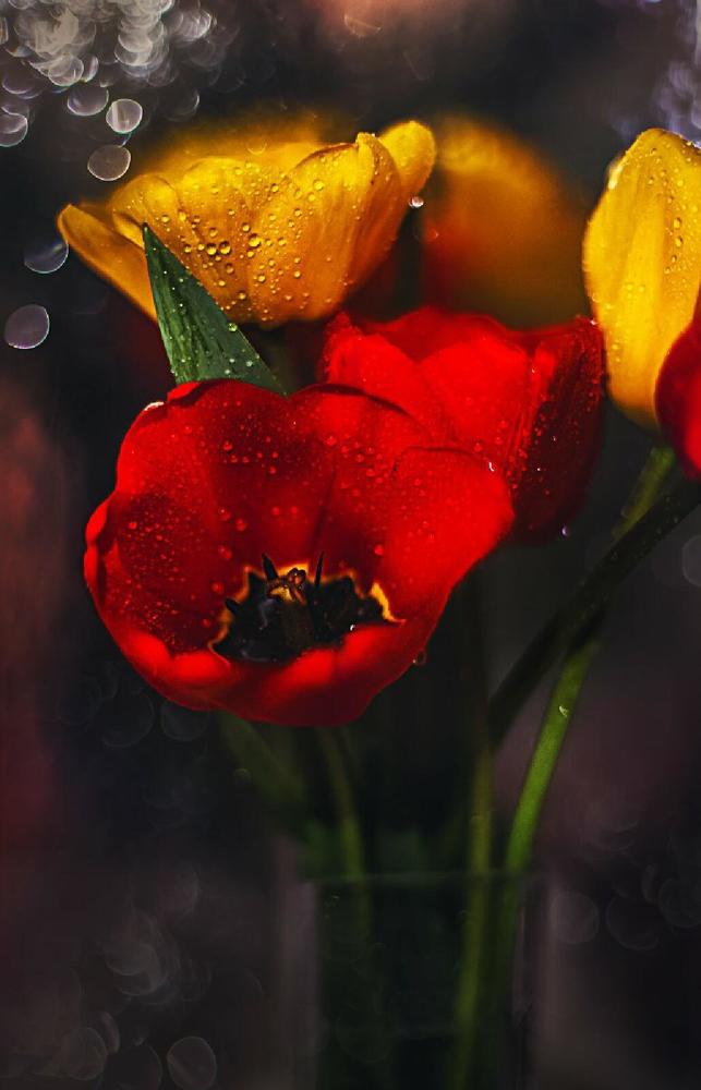 Photograph by Инна Романова