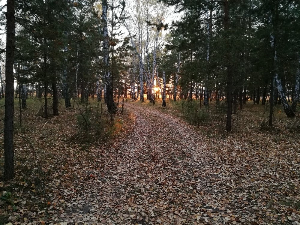 Photograph by Ramil Bakhriraziyev