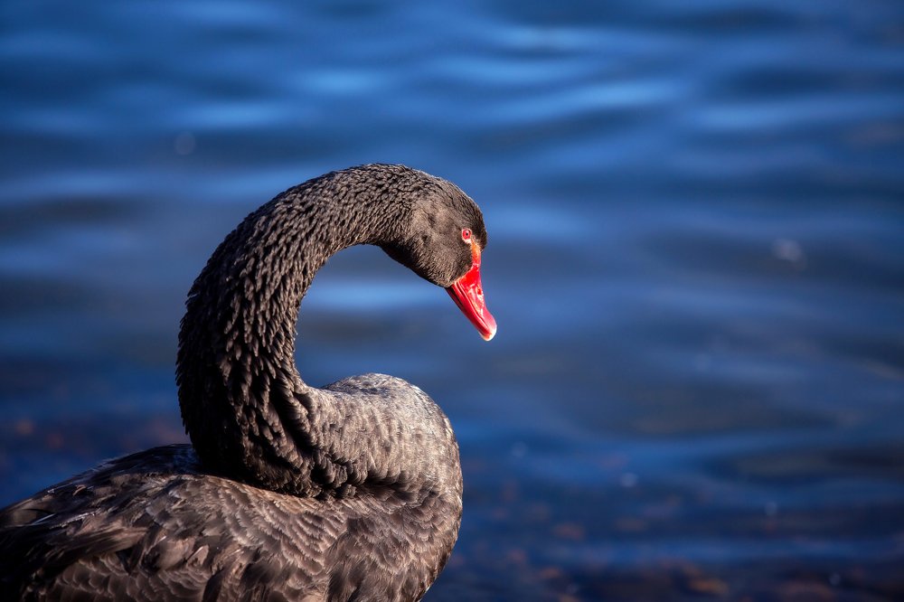 Photograph by Vera Konstantinovskaya