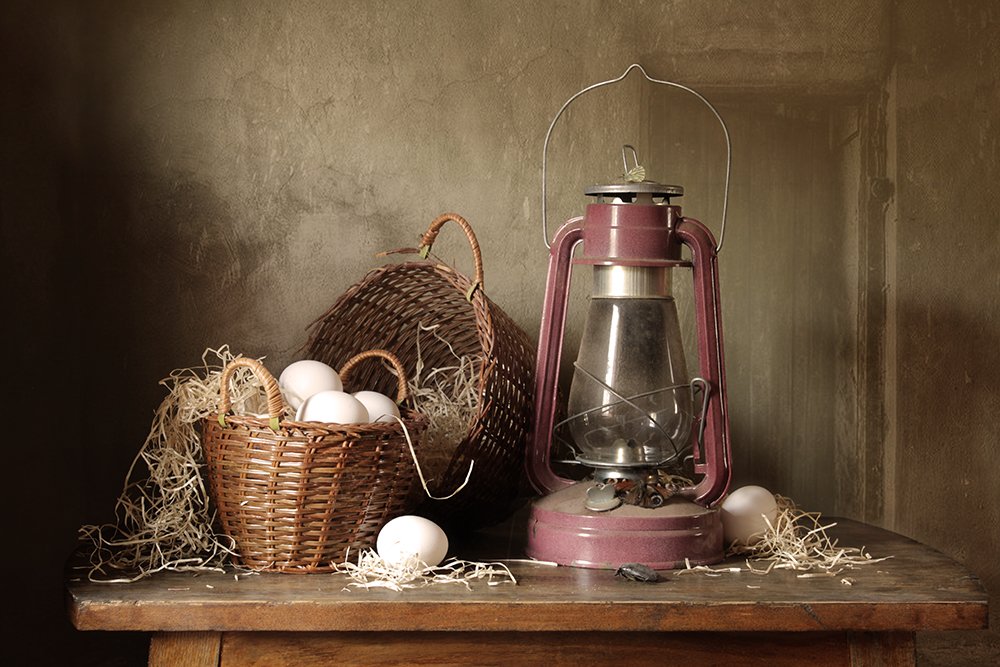 Фотография автора Ганина Галина