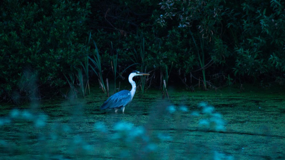 Photograph by Евгений Калагаев