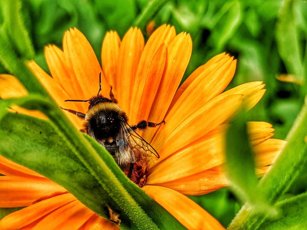 Photograph by Денис Пономарёв