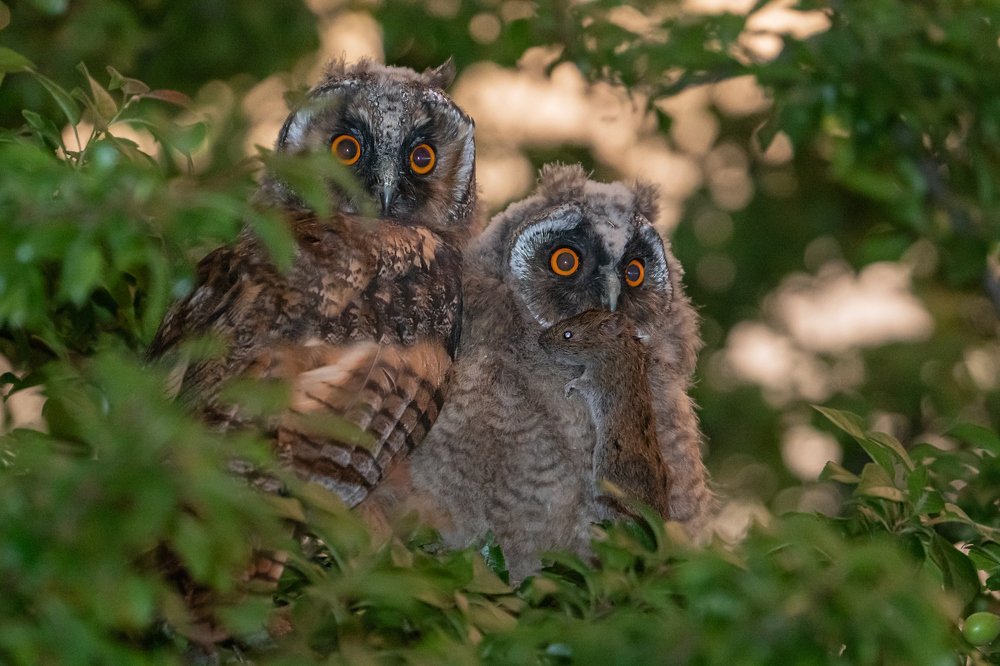 Photograph by Viktor Makarov